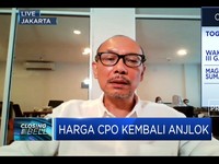 India Pangkas Bea Masuk, Ekspor CPO RI Berpeluang Meningkat?