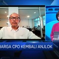 Ini Dampak Tak Diperpanjangnya Pembebasan Pajak CPO Malaysia
