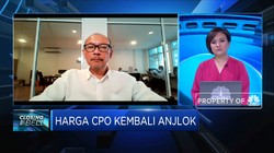 Ini Dampak Tak Diperpanjangnya Pembebasan Pajak CPO Malaysia
