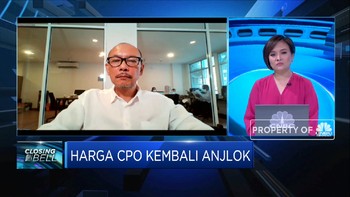 Ini Dampak Tak Diperpanjangnya Pembebasan Pajak CPO Malaysia