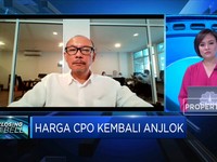 Ini Dampak Tak Diperpanjangnya Pembebasan Pajak CPO Malaysia
