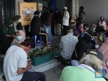Kacau! Bantuan UMKM Salah Sasaran Rp 1 T, PNS Ikut Menikmati