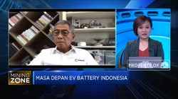 Bahan Baku Hingga Pasar, Potensi Pengembangan EV Battery RI
