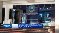 BNN Ajak Negara ASEAN Tolak Ganja Sebagai Tanaman Obat