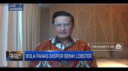 Fadel Muhammad: Ada 3 Celah Di Kasus Ekspor Benih Lobster