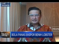 Fadel Muhammad: Ada 3 Celah Di Kasus Ekspor Benih Lobster