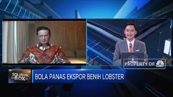 Mencari Pengganti Edhy Prabowo, KKP Butuh Menteri Seperti Ini