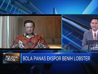Mencari Pengganti Edhy Prabowo, KKP Butuh Menteri Seperti Ini