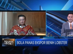 Mencari Pengganti Edhy Prabowo, KKP Butuh Menteri Seperti Ini