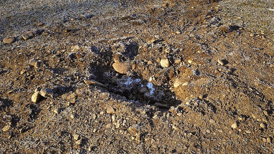 A metal structure sticks from the ground on the Batca Doamnei hill, outside Piatra Neamt, northern Romania, on Nov. 27, 2020. The structure, similar in shape and size to the monolith that was placed in the Utah desert, has since disappeared.(Robert Iosub/ziarpiatraneamt.ro via AP)