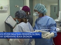 Bos Pfizer Ingatkan Pemimpin Dunia Tak Sembarang Buka Ekonomi