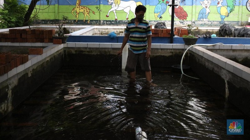 Lobster air tawar. (CNBC Indonesia/Tri Susilo)
