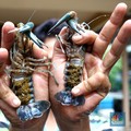 Trenggono: Singapura-Vietnam Untung Besar dari Lobster RI!
