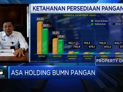 Bos RNI: Holding BUMN Pangan Ditargetkan Kurangi Impor Pangan