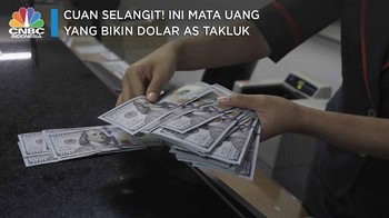 Cuan Selangit! Ini Mata Uang yang Bikin Dolar AS Takluk