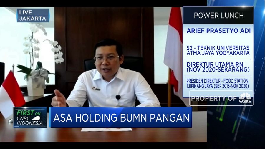 Holding BUMN Pangan Sinergikan Lini Bisnis 16 Anak Usaha  (CNBC Indonesia TV)