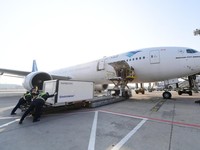 Breaking News! 1,8 Juta Vaksin Sinovac Mendarat di Soetta
