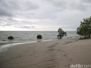 Walhi: Banyak Pulau dan Pesisir Tenggelam, Batas Wilayah RI Bisa Berkurang