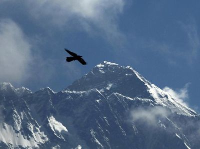 Longsor Salju di Nepal 