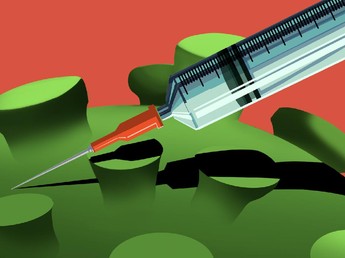 10 Wabah Mematikan yang Berhasil Diatasi Vaksin, Covid-19?