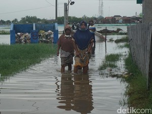 Lahan Pertanian di Demak Terus Susut, BPS: Dampak Proyek Tol-Banjir Rob