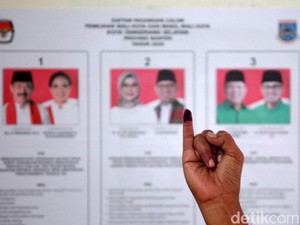 Berapa Honor PTPS Pilkada 2024? Ini Besaran dan Cara Daftarnya
