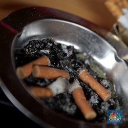 Cukai Naik, Harga Rokok Naik, PHK Pabrik Rokok Naik?