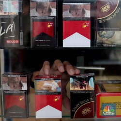 Amsyong! Usai Rilis Lapkeu, Saham Emiten Rokok Nyungsep Semua