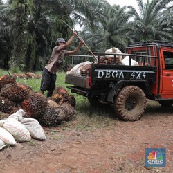 BPDPKS Ikut Kembangkan UMKM & Santripreneur di Riau
