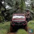 Usai Libur, Harga CPO Malah Jadi Galau
