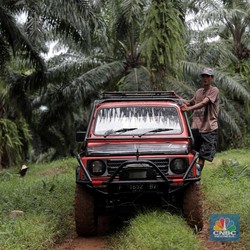 Usai Libur, Harga CPO Malah Jadi Galau