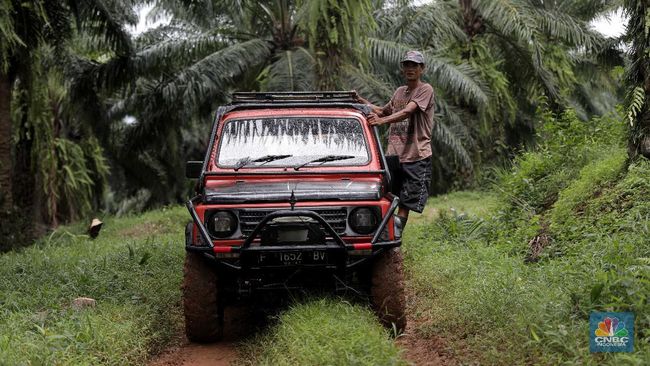 Usai Libur, Harga CPO Malah Jadi Galau Market - 4 jam yang lalu - CNBC Indonesia