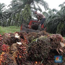 Industri Sawit 