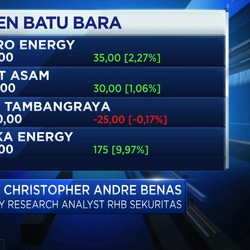 Permintaan Mulai Pulih, Ini Outlook Emiten Batu Bara di 2021