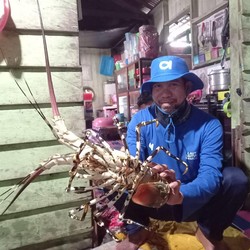 Cerita Start Up Perikanan Aruna yang Lahir dari Anak Nelayan