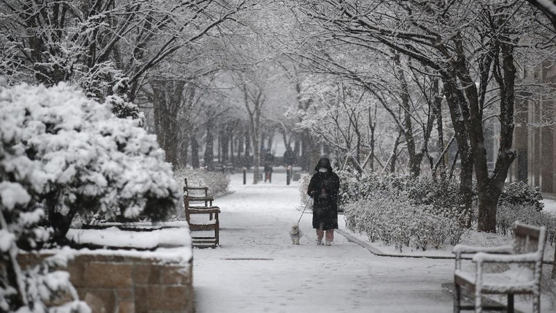 A resident wearing a face mask as a precaution against the coronavirus walks a dog through snow in Goyang, South Korea, Sunday, Dec. 13, 2020. (AP Photo/Lee Jin-man)