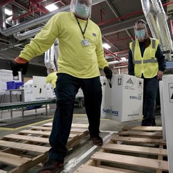 Menang Banyak, Pfizer Dapat Rp 50 T dari Jualan Vaksin Corona