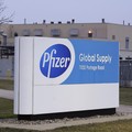 RI Belum Amankan Vaksin Pfizer, Bio Farma Ungkap Alasannya