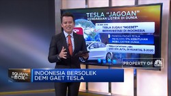 Indonesia Bersolek Demi Gaet Tesla