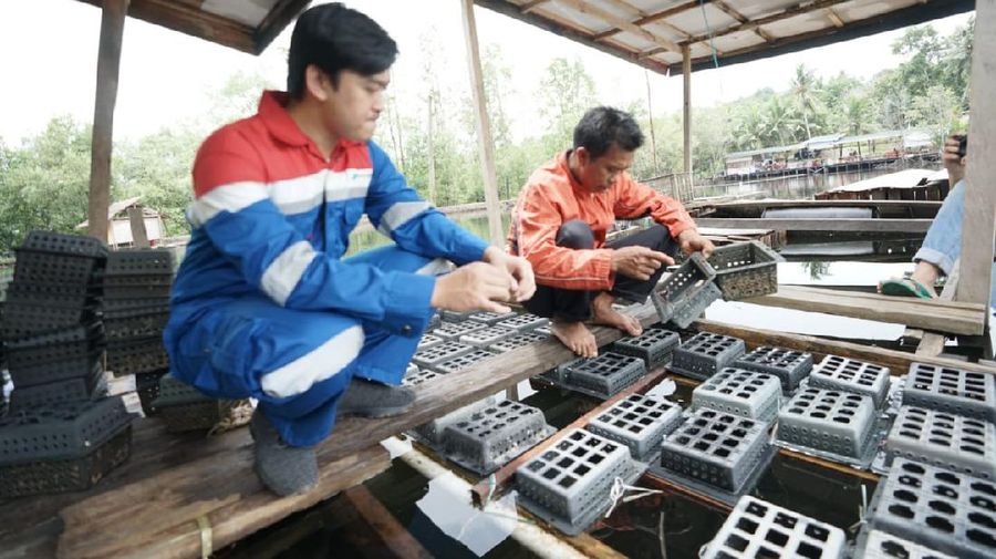 Pertamina Marketing Operation Region VI Kalimantan berhasil mendapatkan 6 (enam) predikat hijau pada Program Penilaian Kinerja Perusahaan Dalam Pengelolaan Lingkungan (Proper) oleh Kementerian Lingkungan Hidup dan Kehutanan yang diumumkan secara daring oleh Menteri KLHK RI Siti Nurbaya Bakar dalam acara bertajuk Anugerah Proper 2020 pada Senin (14/12). (Dok Pertamina)