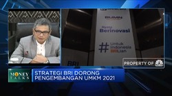 Selamatkan UMKM, BRI Dorong Edukasi Pengelolaan Bisnis UMKM