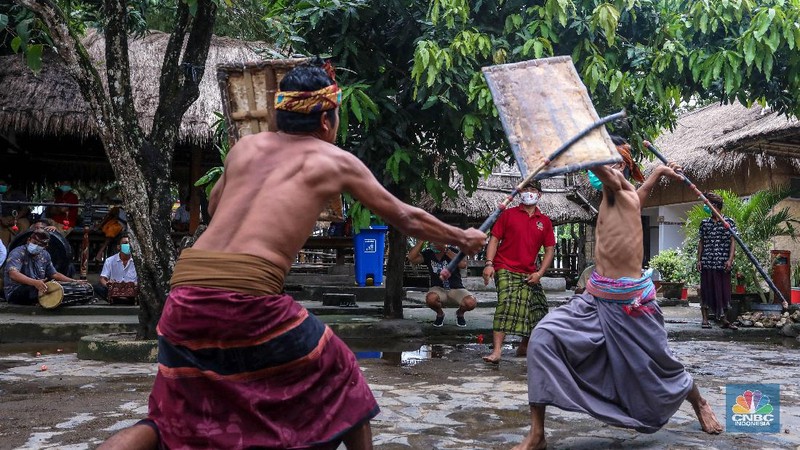 Dua orang petarung memperagakan kesenian khas yang dimiliki masyarakat Lombok, Presean. Seni tradisi ini dilakukan dengan cara adu ketangkasan.

Peresean adalah pertarungan antara dua lelaki yang bersenjatakan tongkat rotan (penjalin) dan berperisai kulit kerbau yang tebal dan keras (perisai disebut ende). Tradisi ini dilakukan oleh masyarakat suku Sasak.

Tradisi ini dilakukan dengan menggunakan penjalin, terbuat dari rotan yang dibaluri aspal hitam dan di dalamnya terdapat pecahan beling yang diikat dengan benang bola warna putih. Penjalin digunakan sebagai alat untuk saling memukul. Ukuran panjangnya sekitar 1,5 meter. (CNBC Indonesia/ Andrean Kristianto)
