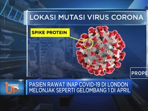 Petaka Mutasi Virus Corona