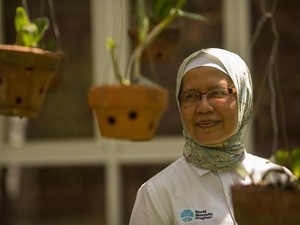 Ada Ilmuwan Indonesia di Balik Nyamuk Wolbachia yang Didanai Bill Gates
