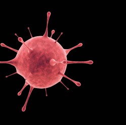 Virus Mirip Covid-19 Ditemukan di China, Menular di Kelelawar