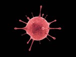 Varian Baru Virus Corona Menular Inggris Ditemukan di Italia