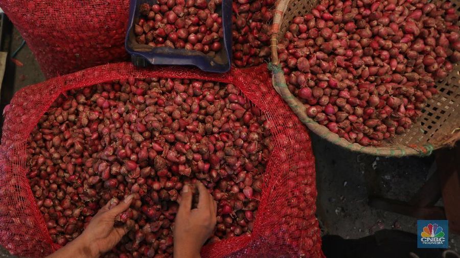 Ilustrasi Bawang Merah (CNBC Indonesia/ Andrean Kristianto)