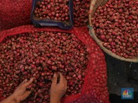 Alert Zona Merah! Cek Sembako Yang Harganya Terbang Hari Ini