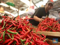 Jaminan Harga Tak Naik, Stok Pangan Aman Hingga Lebaran