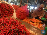 'Meledak'! Harga Cabai di DKI Rp160.000/ Kg